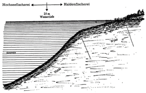 Schematische Darstellung